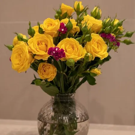 Bebio Отель типа 