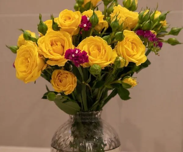 Bebio 住宿加早餐酒店 4*